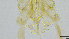  ( - HKU17)  @11 [ ] Copyright (2025) Mathew Stephen Seymour The University of Hong Kong
