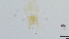  ( - HKU18)  @11 [ ] Copyright (2025) Mathew Stephen Seymour The University of Hong Kong
