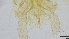  ( - HKU18)  @11 [ ] Copyright (2025) Mathew Stephen Seymour The University of Hong Kong