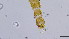  ( - HKU20)  @11 [ ] Copyright (2025) Mathew Stephen Seymour The University of Hong Kong
