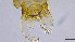  ( - HKU20)  @11 [ ] Copyright (2025) Mathew Stephen Seymour The University of Hong Kong