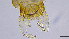  ( - HKU20)  @11 [ ] Copyright (2025) Mathew Stephen Seymour The University of Hong Kong