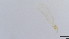  ( - HKU24)  @11 [ ] Copyright (2025) Mathew Stephen Seymour The University of Hong Kong