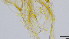  ( - HKU24)  @11 [ ] Copyright (2025) Mathew Stephen Seymour The University of Hong Kong