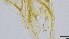  ( - HKU24)  @11 [ ] Copyright (2025) Mathew Stephen Seymour The University of Hong Kong