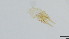  ( - HKU25)  @11 [ ] Copyright (2025) Mathew Stephen Seymour The University of Hong Kong