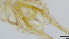  ( - HKU25)  @11 [ ] Copyright (2025) Mathew Stephen Seymour The University of Hong Kong