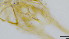  ( - HKU25)  @11 [ ] Copyright (2025) Mathew Stephen Seymour The University of Hong Kong