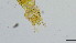  ( - HKU28)  @11 [ ] Copyright (2025) Mathew Stephen Seymour The University of Hong Kong