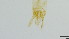  ( - HKU32)  @11 [ ] Copyright (2025) Mathew Stephen Seymour The University of Hong Kong