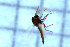  ( - HKU34)  @11 [ ] Copyright (2025) Mathew Stephen Seymour The University of Hong Kong