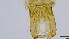  ( - HKU34)  @11 [ ] Copyright (2025) Mathew Stephen Seymour The University of Hong Kong