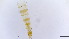  ( - HKU38)  @11 [ ] Copyright (2025) Mathew Stephen Seymour The University of Hong Kong