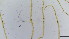  ( - HKU44)  @11 [ ] Copyright (2025) Mathew Stephen Seymour The University of Hong Kong