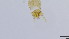  ( - HKU45)  @11 [ ] Copyright (2025) Mathew Stephen Seymour The University of Hong Kong