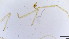 ( - HKU45)  @11 [ ] Copyright (2025) Mathew Stephen Seymour The University of Hong Kong