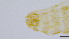  ( - HKU47)  @11 [ ] Copyright (2025) Mathew Stephen Seymour The University of Hong Kong