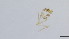  ( - HKU47)  @11 [ ] Copyright (2025) Mathew Stephen Seymour The University of Hong Kong