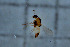  ( - HKU48)  @11 [ ] Copyright (2025) Mathew Stephen Seymour The University of Hong Kong