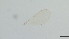  ( - HKU48)  @11 [ ] Copyright (2025) Mathew Stephen Seymour The University of Hong Kong