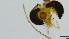  ( - HKU55)  @11 [ ] Copyright (2025) Mathew Stephen Seymour The University of Hong Kong