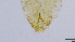  ( - HKU58)  @11 [ ] Copyright (2025) Mathew Stephen Seymour The University of Hong Kong