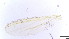  ( - HKU58)  @11 [ ] Copyright (2025) Mathew Stephen Seymour The University of Hong Kong