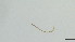  ( - HKU71)  @11 [ ] Copyright (2025) Mathew Stephen Seymour The University of Hong Kong