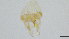  ( - HKU71)  @11 [ ] Copyright (2025) Mathew Stephen Seymour The University of Hong Kong