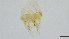  ( - HKU71)  @11 [ ] Copyright (2025) Mathew Stephen Seymour The University of Hong Kong