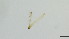  ( - HKU71)  @11 [ ] Copyright (2025) Mathew Stephen Seymour The University of Hong Kong
