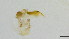  ( - HKU71)  @11 [ ] Copyright (2025) Mathew Stephen Seymour The University of Hong Kong
