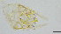  ( - HKU72)  @11 [ ] Copyright (c) (10) Prof. Mathew Stephen Seymour the university of Hong Kong