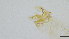  ( - HKU75)  @11 [ ] Copyright (2025) Mathew Stephen Seymour The University of Hong Kong