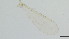  ( - HKU75)  @11 [ ] Copyright (2025) Mathew Stephen Seymour The University of Hong Kong