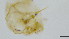  ( - HKU79)  @11 [ ] Copyright (c) (10) Prof. Mathew Stephen Seymour the university of Hong Kong