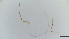  ( - HKU79)  @11 [ ] Copyright (2025) Mathew Stephen Seymour The University of Hong Kong