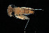  ( - 2023EPT_043_ECS009_a)  @11 [ ] Copyright (2025) Mathew Seymour The University of Hong Kong