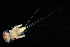  ( - 2023EPT_043_ECS009_b)  @11 [ ] Copyright (2025) Mathew Seymour The University of Hong Kong