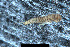  ( - 2023_L_ECS015_a)  @11 [ ] Copyright (2025) Mathew Seymour The University of Hong Kong