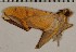  ( - HKNHM-740632)  @13 [ ] Unspecified (default): All Rights Reserved  Unspecified Unspecified