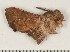  ( - HKNHM-740637)  @13 [ ] Unspecified (default): All Rights Reserved  Unspecified Unspecified