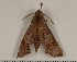  ( - HKNHM-740651)  @12 [ ] Unspecified (default): All Rights Reserved  Unspecified Unspecified