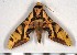  ( - HKNHM-740656)  @15 [ ] Unspecified (default): All Rights Reserved  Unspecified Unspecified