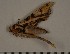  ( - HKNHM-740661)  @12 [ ] Unspecified (default): All Rights Reserved  Unspecified Unspecified