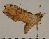  ( - HKNHM-793543)  @12 [ ] Unspecified (default): All Rights Reserved  Unspecified Unspecified