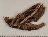  ( - HKNHM-793546)  @12 [ ] Unspecified (default): All Rights Reserved  Unspecified Unspecified
