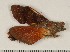  ( - HKNHM-793555)  @12 [ ] Unspecified (default): All Rights Reserved  Unspecified Unspecified