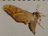  ( - HKNHM-794567)  @12 [ ] Unspecified (default): All Rights Reserved  Unspecified Unspecified