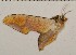  ( - HKNHM-794568)  @12 [ ] Unspecified (default): All Rights Reserved  Unspecified Unspecified